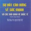 Sự bất cân xứng về sức mạnh và các mối quan hệ quốc tế (Sách tham khảo)