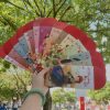 Bao lì xì các cô gái dân tộc