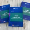 Giáo trình luật lao động (tái bản lần thứ năm, có sửa đổi, bổ sung)
