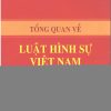 Tổng Quan Về Luật Hình Sự Việt Nam